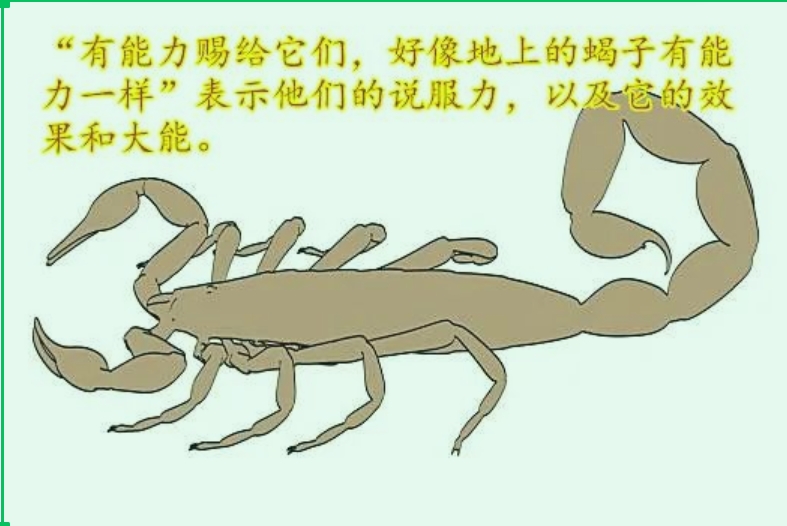 屏幕截图_4-2-2025_214036_mp.weixin.qq.com.jpeg